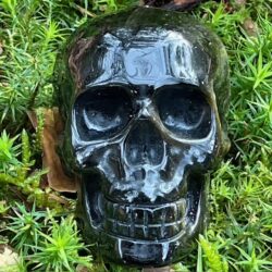 Zwart Goud Obsidiaan LeMUria Skull 7 = 7 cm: Zeta Reticuli