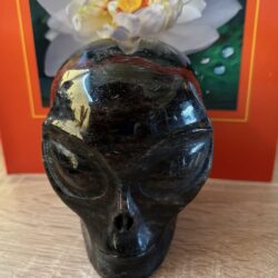 Arfedsoniet - Starseed - Alien Starchild: LeMUria Skull 3 = 9.5 x 7 x 9.5 cm (lxbrxh) - 1.2 kg