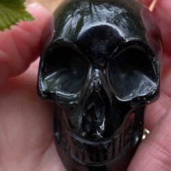 Zwart Goud Obsidiaan LeMUria Skull 6 = 7cm: Zeta Reticuli