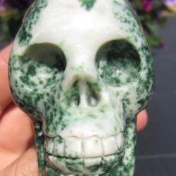 Boomagaat Skull 2: 7,5 cm