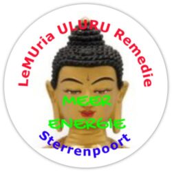 ANGST ONTMANTELAAR - MEER ENERGIE: Sterrenpoort Remedie- 30 ml