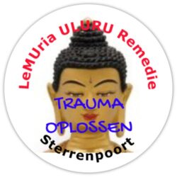 ANGST ONTMANTELAAR - TRAUMA OPLOSSEN: Sterrenpoort Remedie- 30 ml