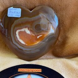 Agaat HART 8,5 cm + Goud Calciet Dolfijn ingesloten in Wit Howliet