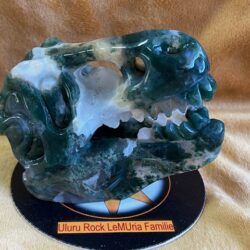 Mos / Boomagaat ULURU Dinosaurus Skull = 10,5 x 6 x 7.5 cm - 265 gram - Bevrijder van Oerangst