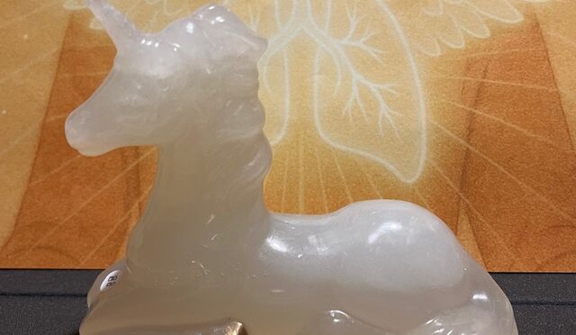 Webshop Aanwinsten: Kristallen schedels, Eenhoorns en Ravenskulls