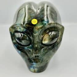 Labradoriet Alien schedel met labradoriet ogen L2: 11x8,5x10 cm - 1301 gram