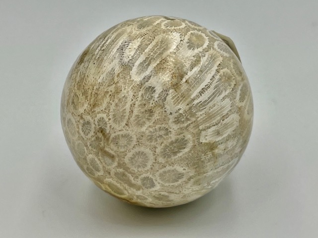 Koraal Bol 1 - Versteend: Ø 5 cm - 175 gram - Akasha Kronieken van LeMUria in de Binnenaarde