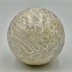 Koraal Bol 2 - Versteend: Ø 5 cm - 173 gram - Akasha Kronieken van LeMUria in de Binnenaarde