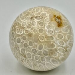 Koraal Bol 3 - Versteend: Ø 5 cm - 171 gram - Akasha Kronieken van LeMUria in de Binnenaarde