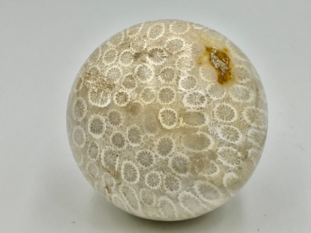 Koraal Bol 3 - Versteend: Ø 5 cm - 171 gram - Akasha Kronieken van LeMUria in de Binnenaarde