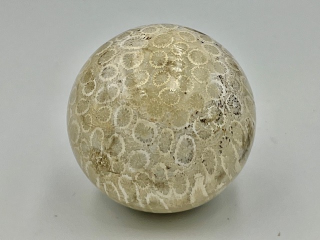 Koraal Bol 3 - Versteend: Ø 5 cm - 171 gram - Akasha Kronieken van LeMUria in de Binnenaarde - Afbeelding 3