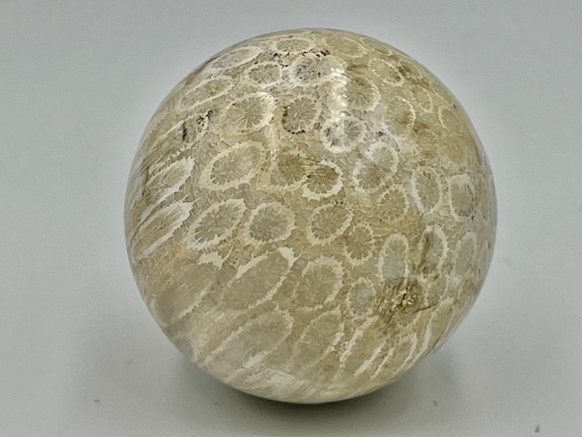 Koraal Bol 3 - Versteend: Ø 5 cm - 171 gram - Akasha Kronieken van LeMUria in de Binnenaarde - Afbeelding 2