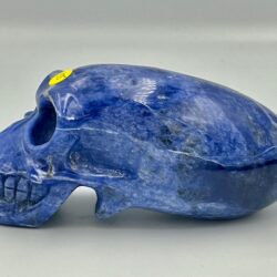 Sodaliet Traveler Skull XL 1: 10,5 x 4,5 x 4 cm (lxbrxh) - 211 gram